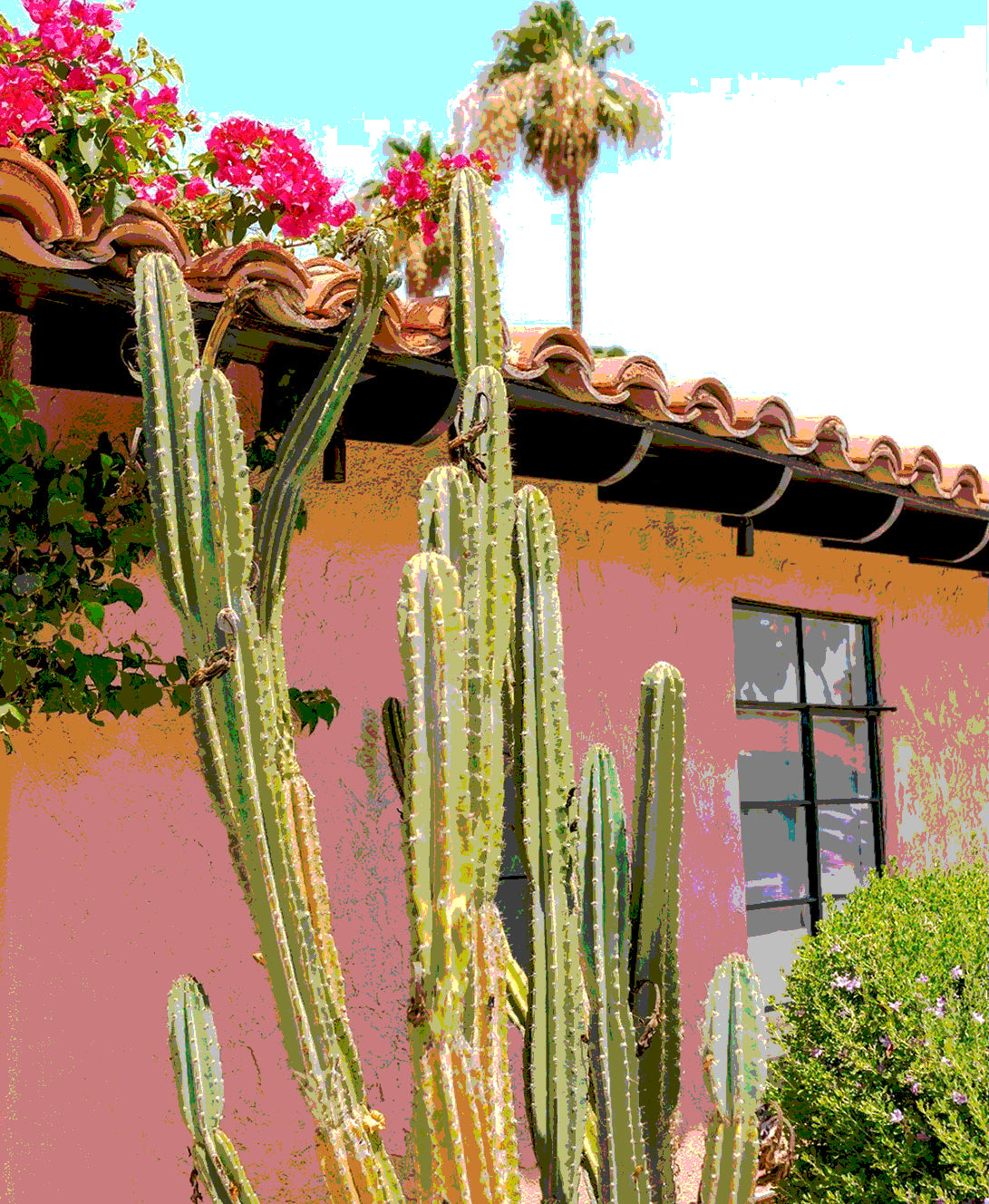 Palm Spring Hotel Art LES CACTUS Framed Printed Artwork Home Decor