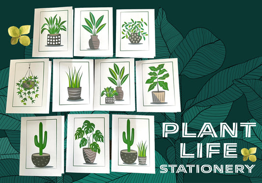 PLANT LIFE Note Cards A2 size Modern & Colorful Stationery Cards Boxed set of 10