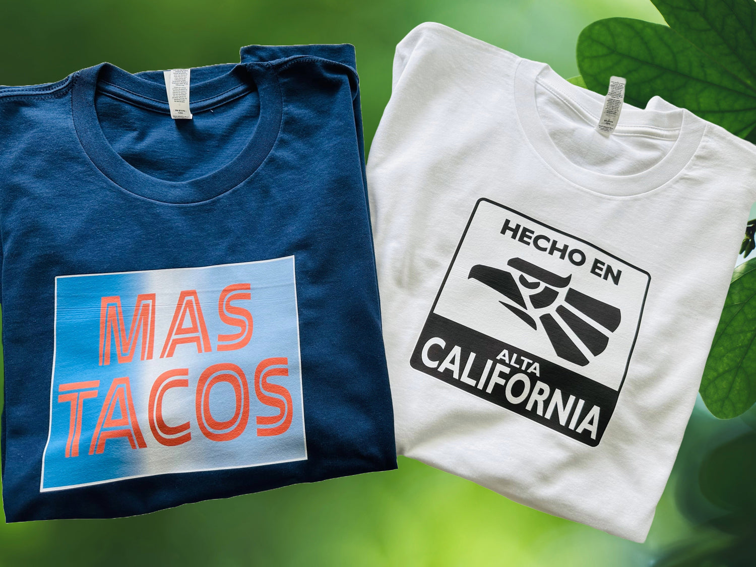 GRAPHIC T'S & TANKS