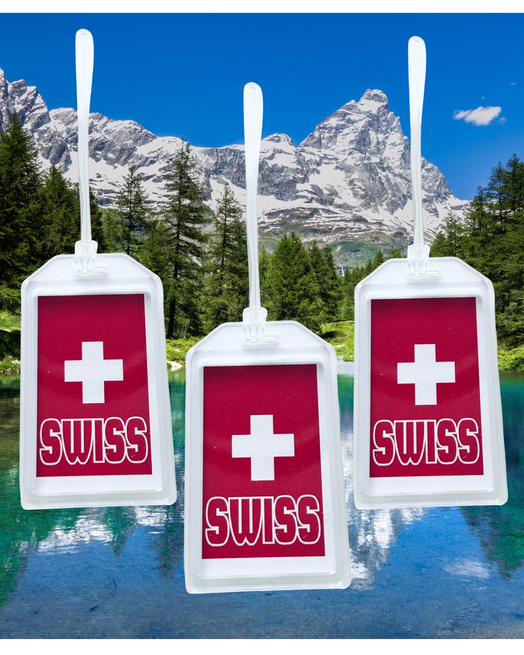 EUROPEAN Countries heavy duty acrylic Luggage & Travel Bag Tags