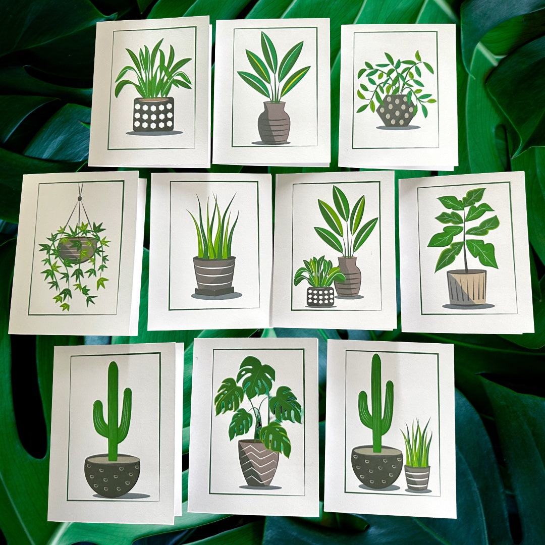 PLANT LIFE Note Cards A2 size Modern & Colorful Stationery Cards Boxed set of 10
