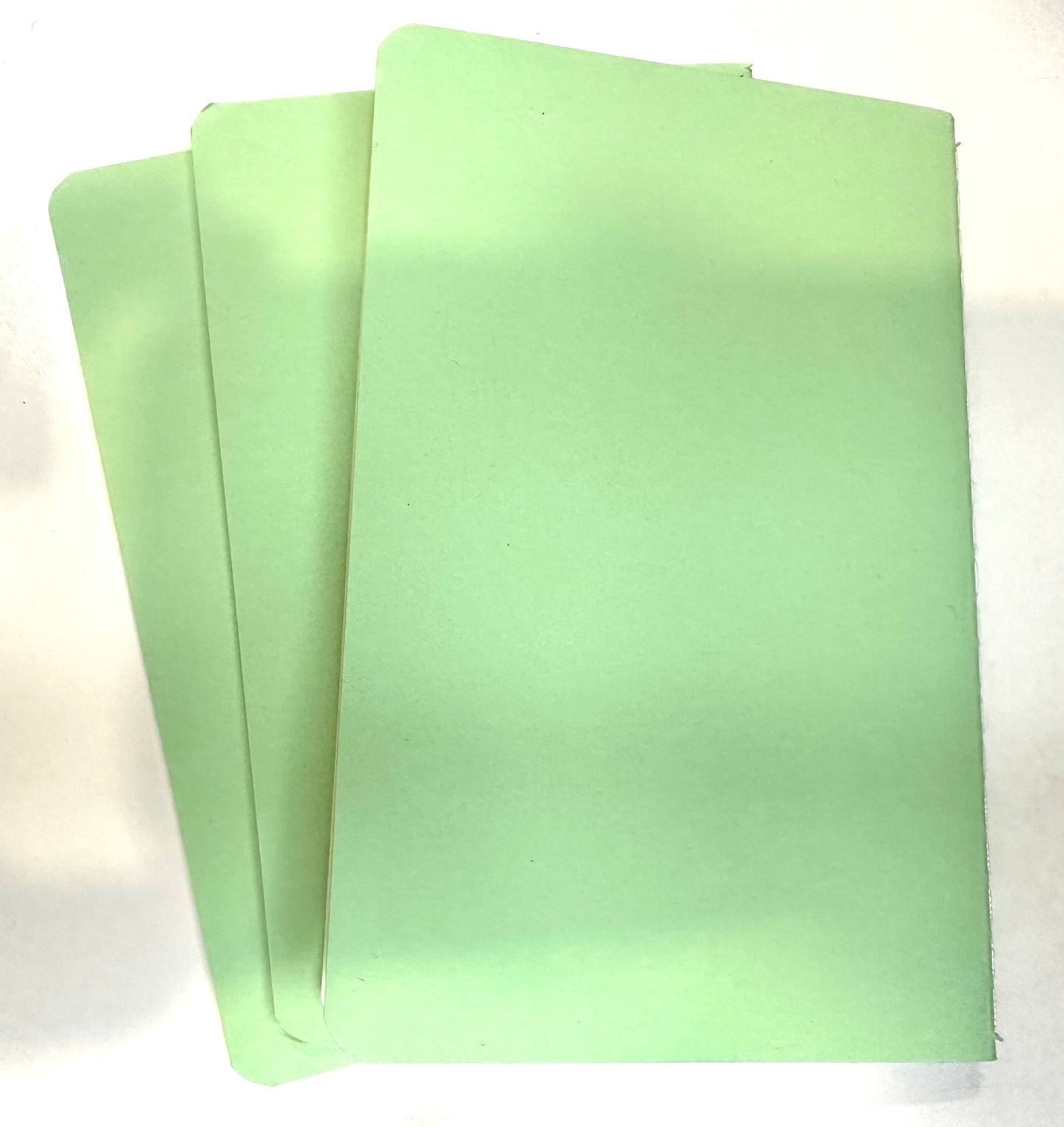Lite Green MINI NOTEBOOKS set of 3 Nature Theme