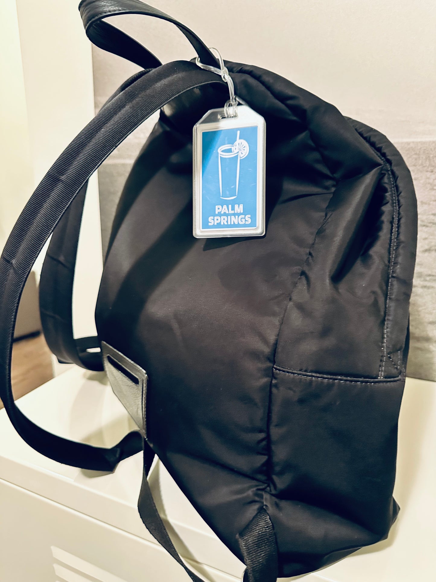 CALIFORNIA CITIES  Luggage & Travel Bag Tags SAN DIEGO/SAN