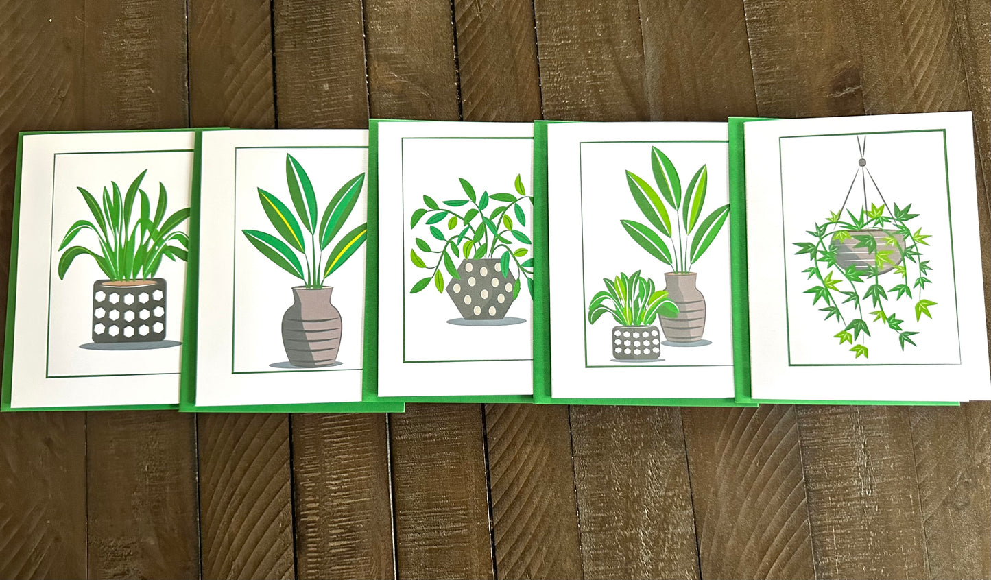 PLANT LIFE Note Cards A2 size Modern & Colorful Stationery Cards Boxed set of 10