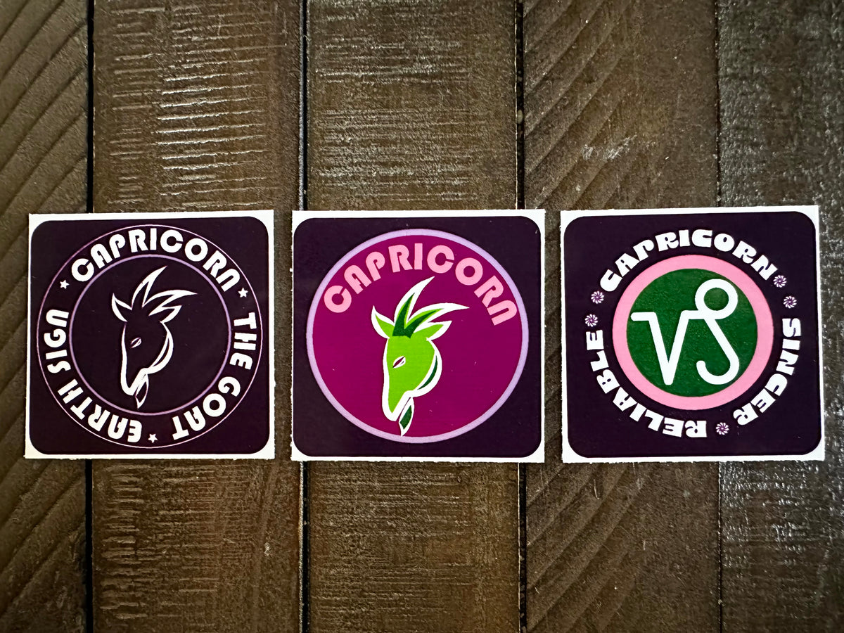 CAPRICORN Bold Colorful Characteristic's & Traits Stickers Set of 3, Glossy Vinyl Decals