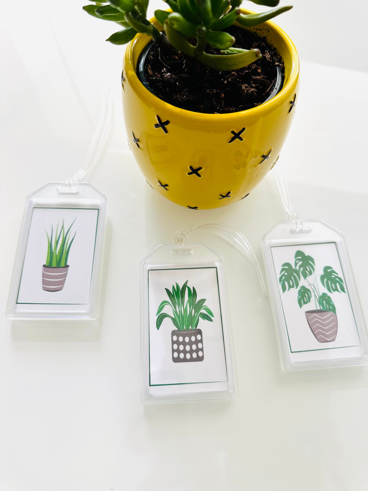 PLANT LOVERS & PLANT PEOPLE Durable Luggage & Travel Bag Tags