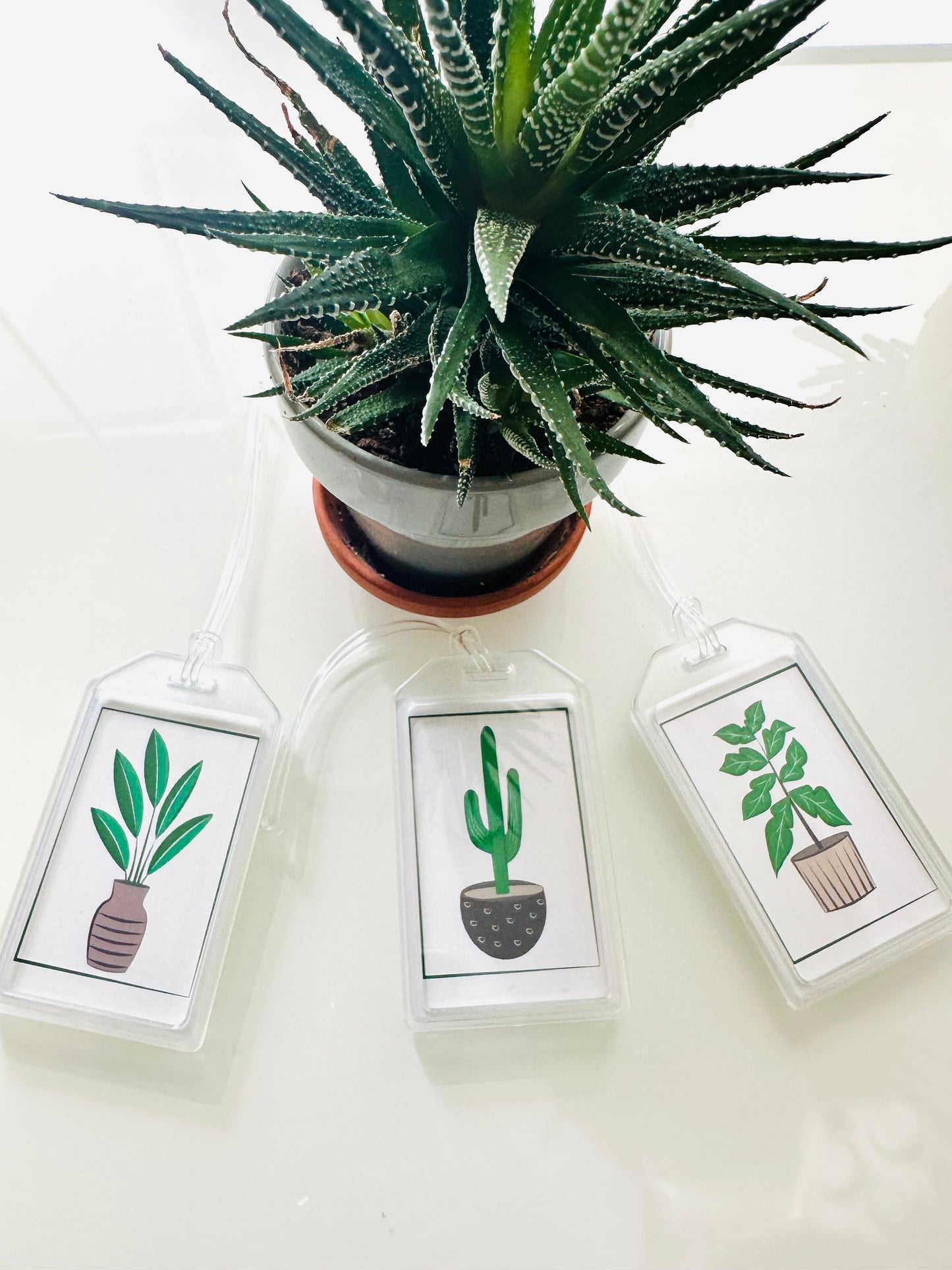 PLANT LOVERS & PLANT PEOPLE Durable Luggage & Travel Bag Tags