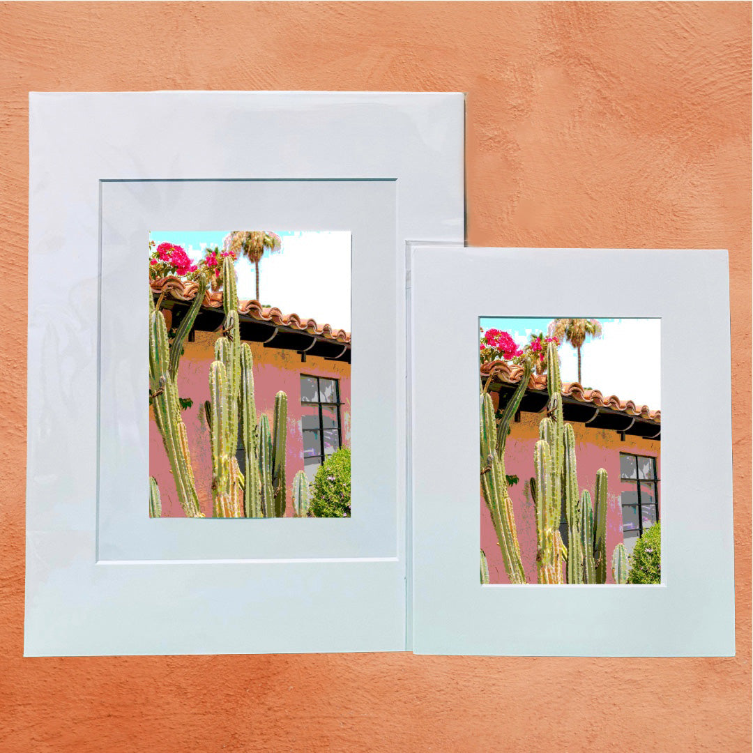 Palm Spring Hotel Art LES CACTUS Framed Printed Artwork Home Decor