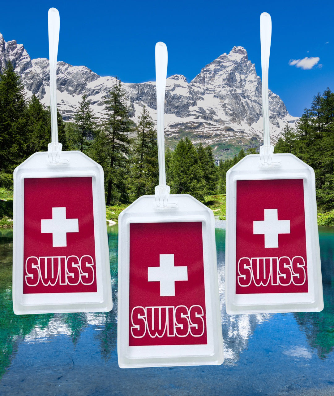 EUROPEAN Countries heavy duty acrylic Luggage & Travel Bag Tags