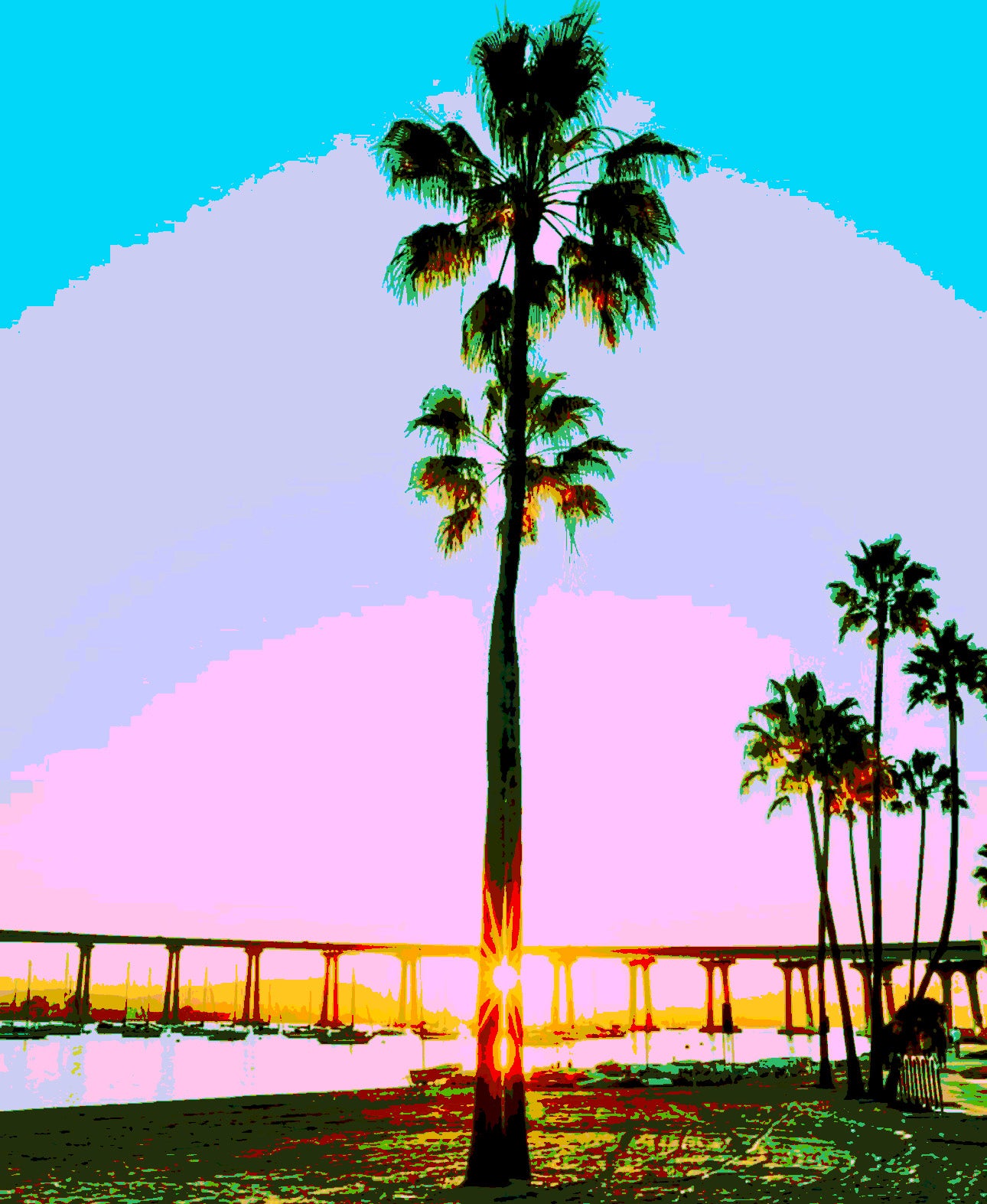 San Diego Coronado Bridge Palms California Printed Artwork Home Decor
