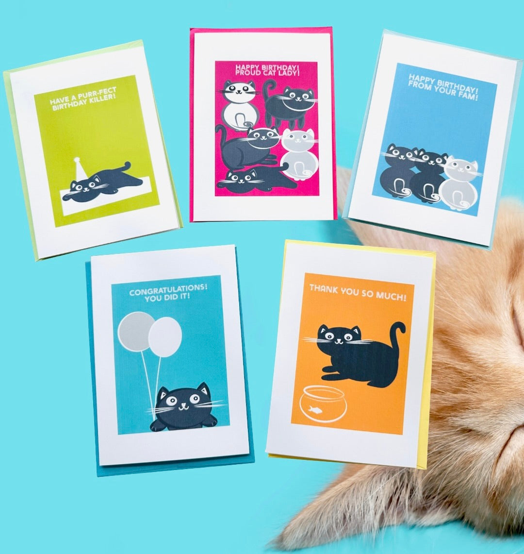 CAT LOVERS SET of 10 cards Cute & Whimsical Multi Occasion Boxed set greeting cards
